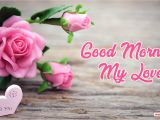 Good Morning My Love Card Romantic My Love Good Morning Wallpaper Download