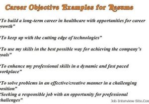 Good Resume for Job Interview Sample Career Objectives Examples for Resumes