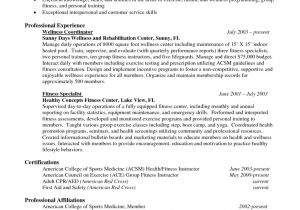 Good Resume Sample Good It Resume Examples Resume and Cover Letter Resume