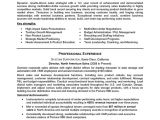 Good Resume Samples for Managers Sales Manager Resume Sample Professional Resume Examples