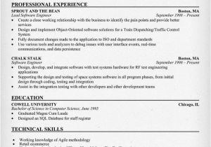 Good software Engineer Resume 9 Best Images About Cad Engineering Resumes On Pinterest