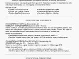 Good Student Resume 10 Writing A Professional Summary Examples Resume Samples