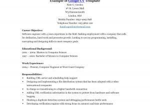 Google Resume Sample Google Resume Templates Lisamaurodesign
