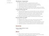 Google Resume Sample Resume Template for Google Docs Health Symptoms and Cure Com