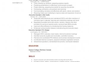 Google Resume Sample Resume Template for Google Docs Health Symptoms and Cure Com