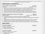 Government Job Resume format Federal Government Resume Template Resumecompanion Com