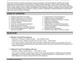Government Job Resume format top Government Resume Templates Samples