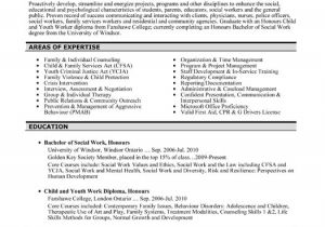 Government Job Resume format top Government Resume Templates Samples