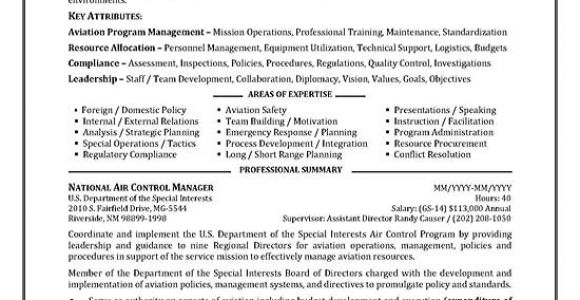 Government Resume Samples Government Resume Example