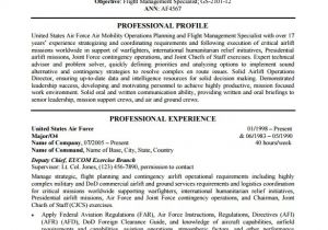 Government Resume Templates Federal Resume Template Health Symptoms and Cure Com