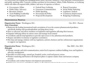 Government Resume Templates Resume Samples Types Of Resume formats Examples Templates