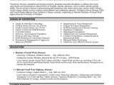 Government Resume Templates top Government Resume Templates Samples