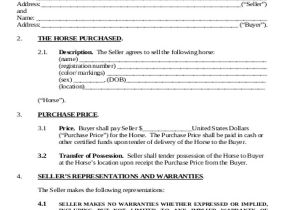 Grain Contract Template Sample Horse Sales Contract 5 Examples In Word Pdf