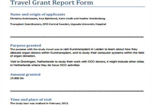 Grant Reporting Template 6 Grant Report Templates Free Word Pdf format Download