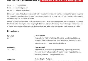 Graphic Designer Resume Word format Download Graphic Designer Resume Template 17 Free Word Pdf