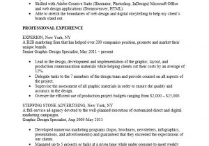Graphic Designer Resume Word format Professional Graphic Designer Resume Template Resume