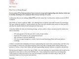 Great Email Cover Letter Examples Two Great Cover Letter Examples Blue Sky Resumes Blog