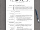 Great Looking Resume Templates 141 Best Images About Professional Resume Templates On