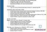 Great Resume Samples 2016 13 Good Resume Examples 2016 Invoice Template Download