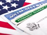 Green Card Background Check Uscis 130 Best Green Card organization Images In 2020 Green