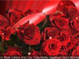 Greeting Card Ke andar Kya Likhe Good Morning Wishes with Beautiful Red Roses Morning Flowers