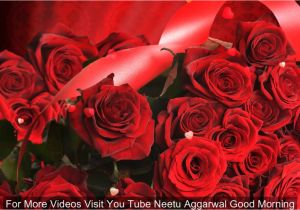 Greeting Card Ke andar Kya Likhe Good Morning Wishes with Beautiful Red Roses Morning Flowers
