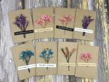 Greeting Card Using Dry Leaves 20sets Dry Flower Greeting Cards Folding Paper Card Thanks