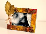 Greeting Card Using Dry Leaves Fall Diy Picture Frame with Autumn Leaves Pure Power Panda