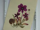 Greeting Card Using Dry Leaves Pressed Flower Art Pressed Flowers Art Collage Dried