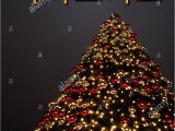 Greeting In A Christmas Card A Christmas Tree with Golden and Red Decoration the Korean