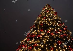 Greeting In A Christmas Card A Christmas Tree with Golden and Red Decoration the Korean