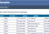 Grid View Templates In asp Net Grid View Templates In asp Net Choice Image Template
