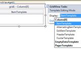 Grid View Templates In asp Net Templatefield In Gridview Control Programming Tutorials Place