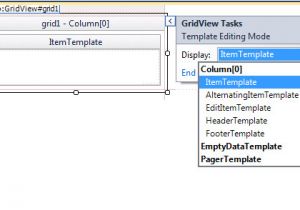 Grid View Templates In asp Net Templatefield In Gridview Control Programming Tutorials Place