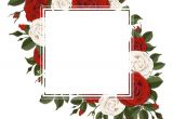 Happy Birthday Card Rose Images Square Greeting Card On Red and Pink Rose Flowers Vector