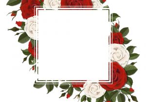 Happy Birthday Card Rose Images Square Greeting Card On Red and Pink Rose Flowers Vector