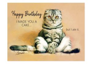 Happy Birthday From the Cat Card Funny Cat Birthday Cards Postcards and Greeting Cards
