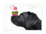 Happy Birthday From the Dog Card Cupcake Black Lab Invitation Zazzle Com Dog Cards Dog