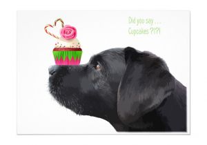Happy Birthday From the Dog Card Cupcake Black Lab Invitation Zazzle Com Dog Cards Dog