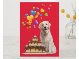 Happy Birthday From the Dog Card Yellow Lab and Cake Happy Birthday Card Zazzle Com with