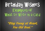 Happy Birthday Quotes to Write On Card Birthday Messages and Quotes to Write In A Card