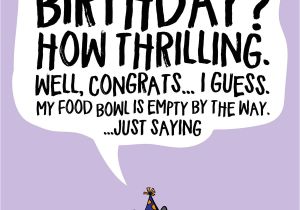 Happy Birthday Ya Filthy Animal Card Funny Cartoon Birthday Cards Scribbler