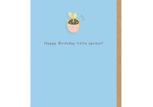 Happy Birthday You Magnificent Bastard Card Plant Pot Enamel Pin Greeting Card