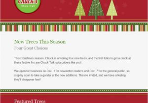 Happy New Year Business Email Template Happy Holidays Email Templates for New Year 2013