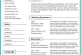 Hardware and Networking Fresher Resume format Doc Free Hardware and Networking Fresher Resume Template In