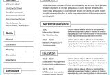 Hardware and Networking Fresher Resume format Free Hardware and Networking Fresher Resume Template In