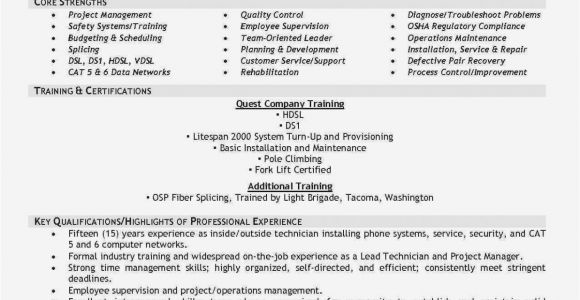Hardware Engineer Resume 14 Facts that Nobody told Realty Executives Mi Invoice