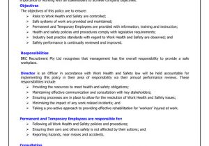 Health and Safety Review Template Health and Safety Policy Template In Word and Pdf formats
