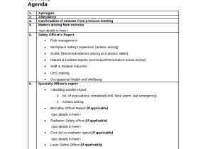 Health and Safety Review Template Safety Agenda Template 6 Free Word Pdf Documents