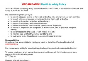 Health and Safety Statement Of Intent Template 19 Health and Safety Policy Examples Samples